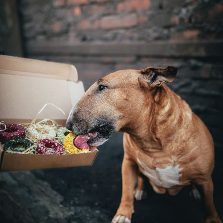 pekárna psí pamlsky