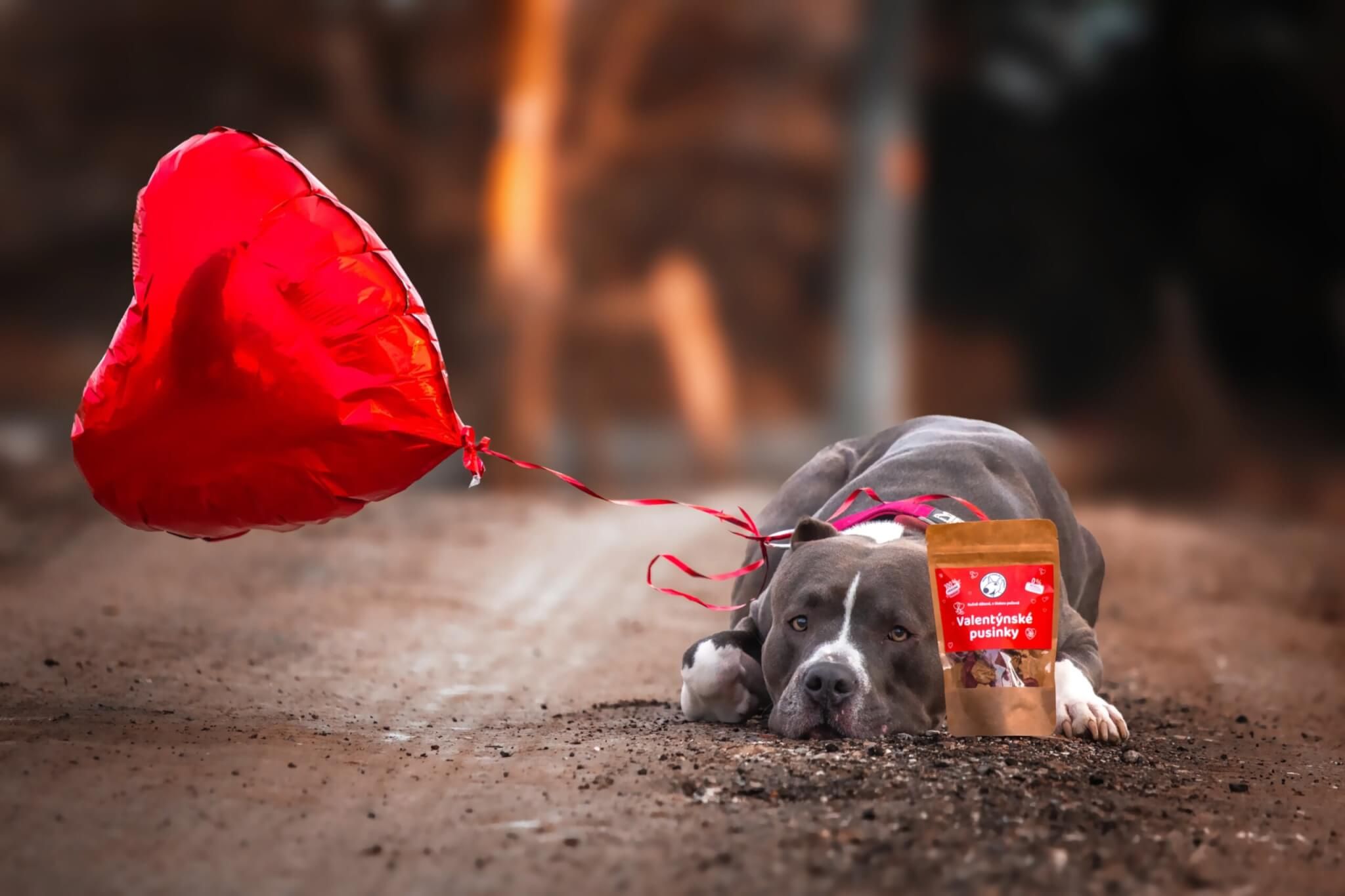 Valentýn – Láska na první olíznutí